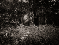 19_92686-6