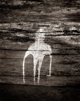 46_56907-8