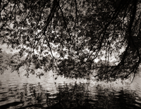 65_70540-2