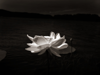 68_78304-1